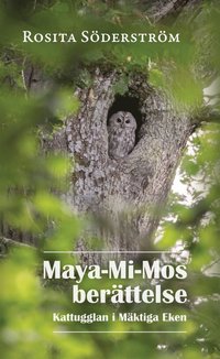 Maya-Mi-Mos berättelse : kattugglan i Mäktiga Eken (e-bok)