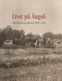 Livet på Ängsö : följ med på en tidsresa 1900-1970 (inbunden)