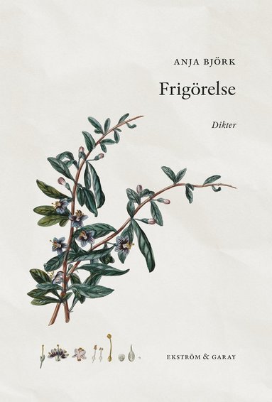 Frig�relse (pocket)