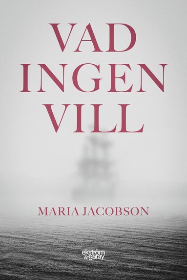 Vad ingen vill (h�ftad)