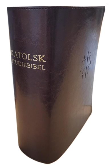 Katolsk studiebibel : Bibel 2000 med katolska kommentarer (pocket)