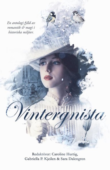 Vintergnista (storpocket)