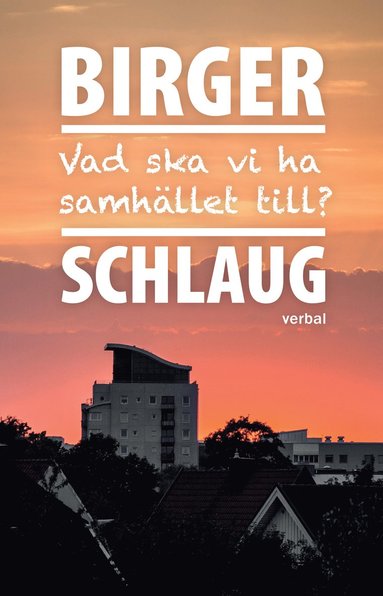 Vad ska vi ha samhället till? (inbunden)