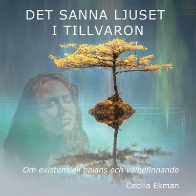 Det sanna ljuset i tillvaron - Om existentiell balans och vlbefinnande (hftad)