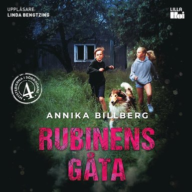 Rubinens gta (e-bok)