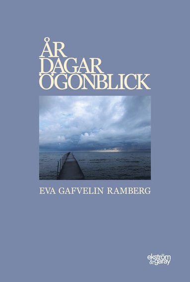r dagar gonblick (pocket)