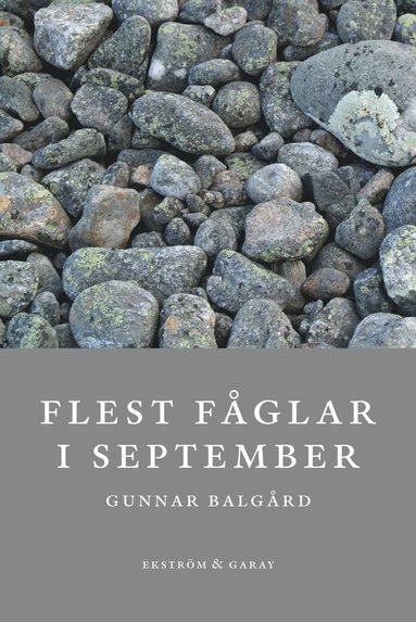 Flest fglar i september (pocket)