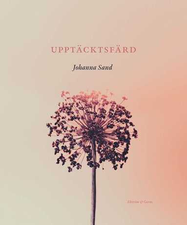 Upptcktsfrd (pocket)