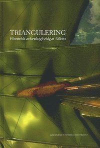 Triangulering : historisk arkeologi vidgar flten (inbunden)