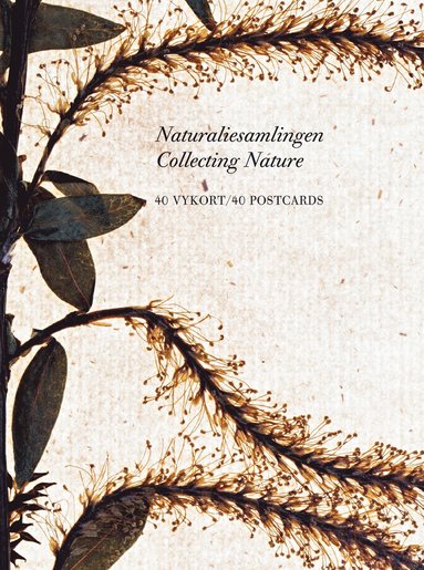 Naturaliesamlingen - vykortsl�da (inbunden)