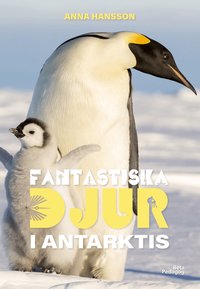 Omslag: Fantastiska djur i Antarktis