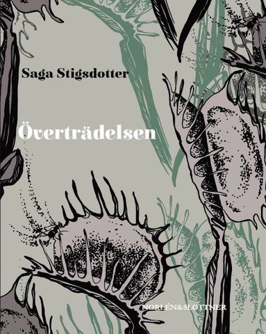 vertrdelsen (pocket)
