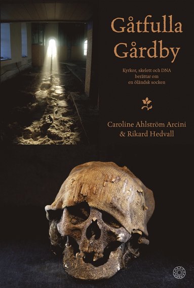 Gtfulla Grdby : kyrkor, skelett och DNA berttar om en lndsk socken (inbunden)