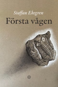 F�rsta v�gen (inbunden)