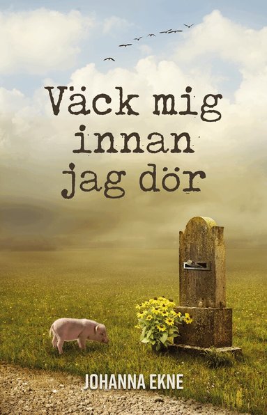 V�ck mig innan jag d�r (inbunden)