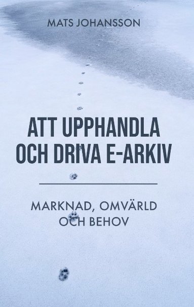 Att upphandla och driva e-arkiv : marknad, omvärld och behov (häftad)