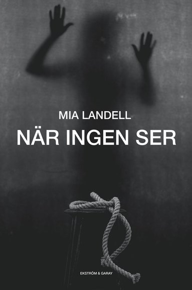 Nr ingen ser (pocket)