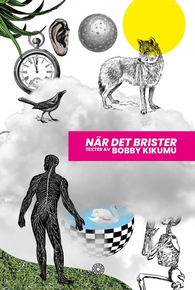 Nr det brister (pocket)