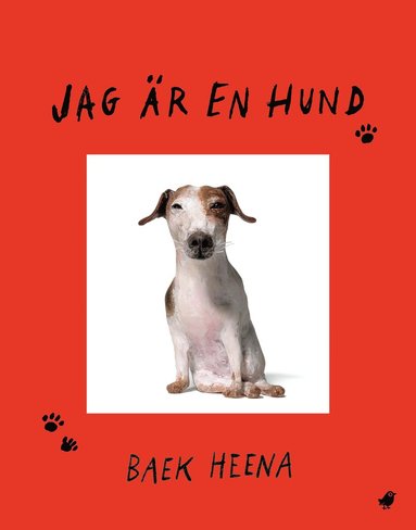 Jag r en hund (kartonnage)