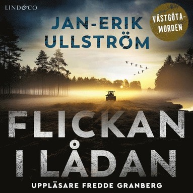 Flickan i ldan (e-bok)
