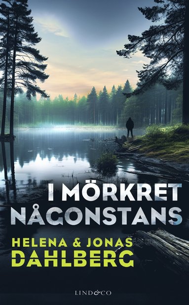 I mrkret ngonstans (pocket)