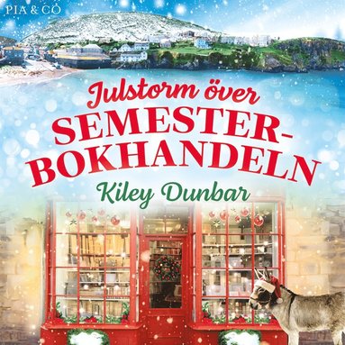 Julstorm ver Semesterbokhandeln (ljudbok)