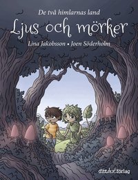 Omslag för Ljus och mörker : de två himlarnas land