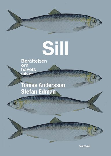 Sill : berttelsen om havets silver (inbunden)
