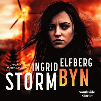 Stormbyn (ljudbok)