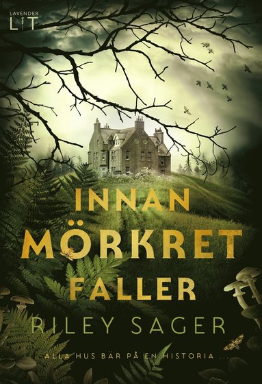 Innan m�rkret faller (e-bok)