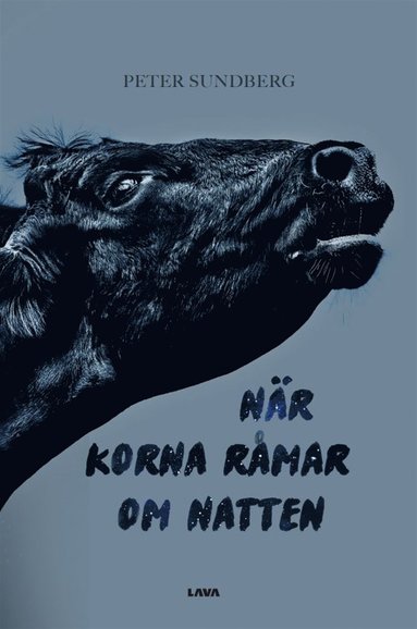 Nr korna rmar om natten