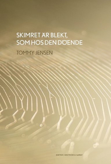 Skimret r blekt, som hos den dende (pocket)