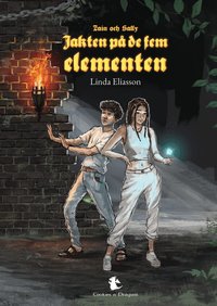 Omslag: Jakten på de fem elementen