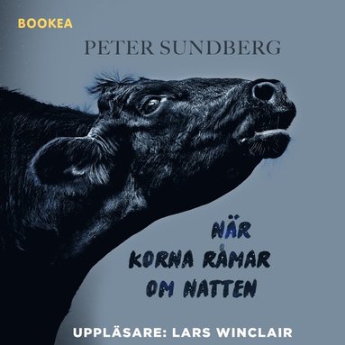 Nr korna rmar om natten