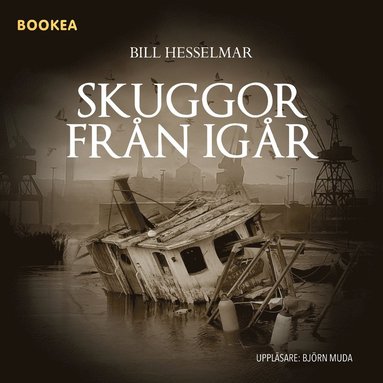 Skuggor frn igr (ljudbok)