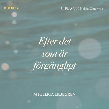 Efter det som r frgngligt (ljudbok)