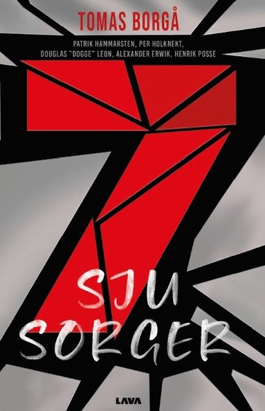 Sju sorger (inbunden)
