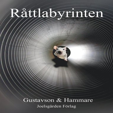 R�ttlabyrinten (pocket)