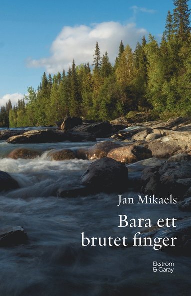 Bara ett brutet finger (inbunden)