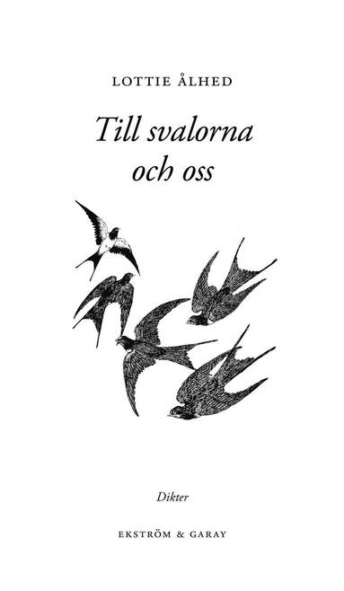 Till svalorna och oss (pocket)