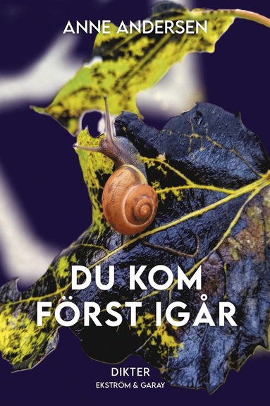 Du kom frst igr (hftad)