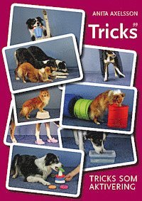Tricks som aktivering (häftad)