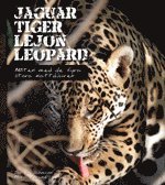 Jaguar, tiger, lejon, leopard : mten med de fyra stora kattdjuren (inbunden)
