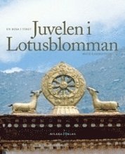 Juvelen i Lotusblomman : en resa i Tibet (hftad)