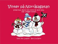 Vinter p Norrsagatan