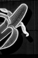 Santiago Sierra : Banankompaniet upplyst av dieselgenerator : en person hindrar en rad containrar och tidigare verk : Banan company illuminated by diesel generator : one person obstructing a line o... (inbunden)