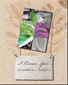 I Linns spr : Linnlektioner - idhfte 5 (pocket)
