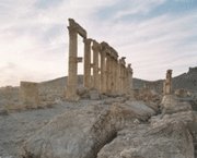 Palmyra (inbunden)
