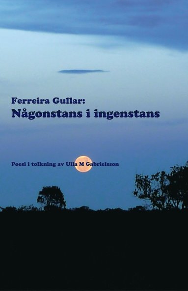 Ngonstans i ingenstans (inbunden)