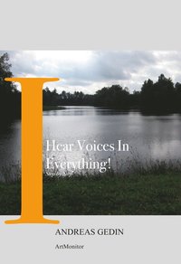 I Hear Voices In Everything!  : Step by step (häftad)
